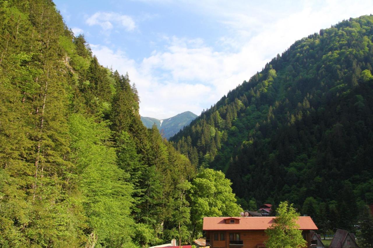 Kilpa Hotel Uzungöl Εξωτερικό φωτογραφία